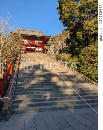 鶴岡八幡宮 正面階段 鶴岡八幡宮 正面階段 139180453