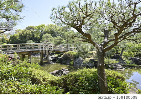 名古屋市「白鳥庭園」の「くすのき橋」 名古屋市「白鳥庭園」の「くすのき橋」 139180609