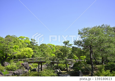 名古屋市「白鳥庭園」の「くすのき橋」 139180613