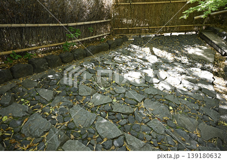 名古屋市「白鳥庭園」の竹林をぐるりと巡る石段 名古屋市「白鳥庭園」の竹林をぐるりと巡る石段 139180632