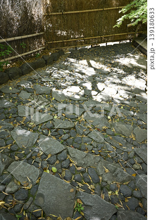 名古屋市「白鳥庭園」の竹林をぐるりと巡る石段 名古屋市「白鳥庭園」の竹林をぐるりと巡る石段 139180633