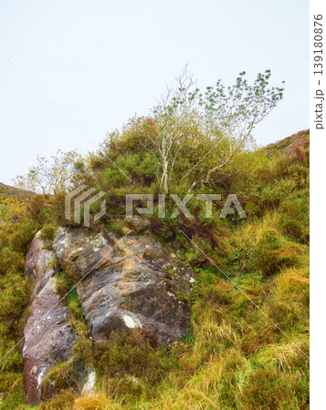A large natural rock formation on a hillside covered in wild shrubs, moss, and tall grasses under a bright sky. A large natural rock formation on a hillside covered in wild shrubs, moss, and tall grasses under a bright sky. 139180876