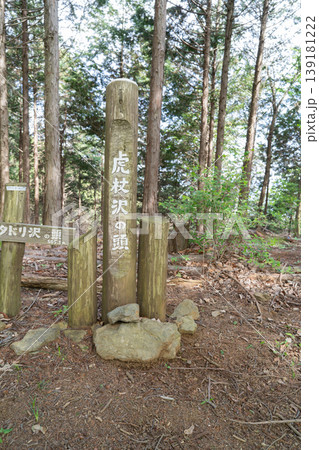 イタドリ沢ノ頭の山頂(奥高尾) イタドリ沢ノ頭の山頂(奥高尾) 139181222