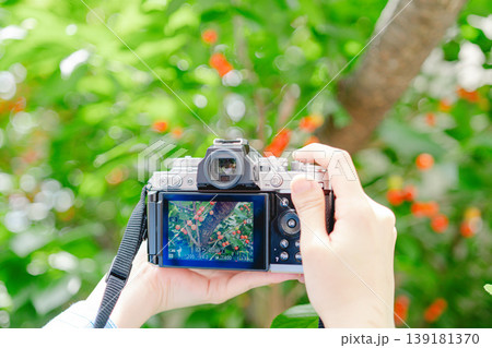 女性がカフェの写真を撮る 女性がカフェの写真を撮る 139181370