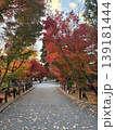 京都　紅葉　禅林寺 (永観堂) 139181444