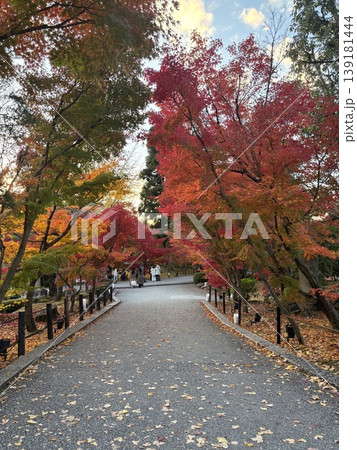 京都 紅葉 禅林寺 (永観堂) 京都 紅葉 禅林寺 (永観堂) 139181444
