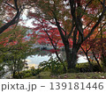 京都　紅葉　禅林寺 (永観堂) 139181446