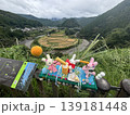 和歌山県有田川町　あらぎ島　日本の棚田百景　和歌山県朝日夕陽百選 139181448