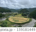 和歌山県有田川町　あらぎ島　日本の棚田百景　和歌山県朝日夕陽百選 139181449