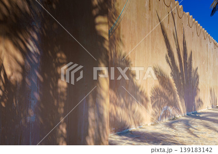 Abu Dhabi, United Arab Emirates, View of the stone wall on which the shadows of palm trees fall, at daytime 139183142