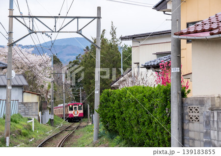 【福島交通飯坂線】桜咲く住宅街を駆け抜ける列車 139183855
