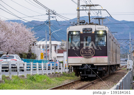 【福島交通飯坂線】桜咲く住宅街を駆け抜ける列車 【福島交通飯坂線】桜咲く住宅街を駆け抜ける列車 139184161