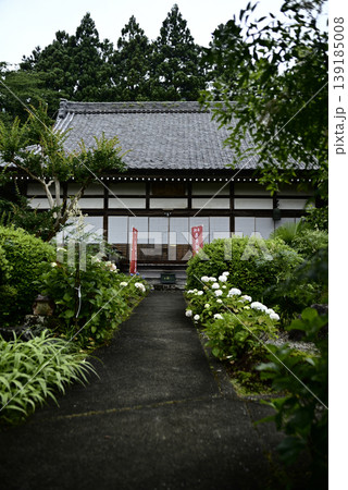 岐阜弓削寺の紫陽花 岐阜弓削寺の紫陽花 139185008