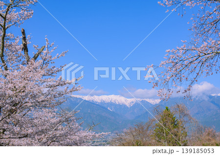 鵜山の桜並木と大天井岳【北安曇郡池田町】 鵜山の桜並木と大天井岳【北安曇郡池田町】 139185053
