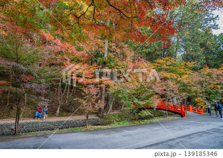 森町の遠江国一宮小國神社の紅葉の風景(静岡県) 森町の遠江国一宮小國神社の紅葉の風景(静岡県) 139185346