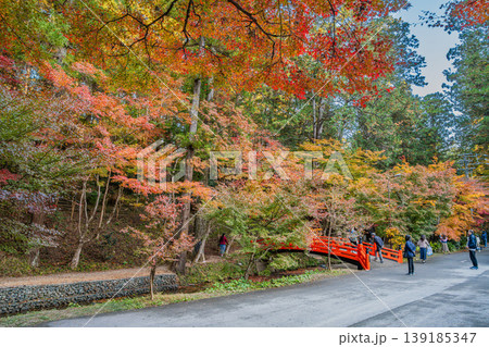 森町の遠江国一宮小國神社の紅葉の風景(静岡県) 139185347