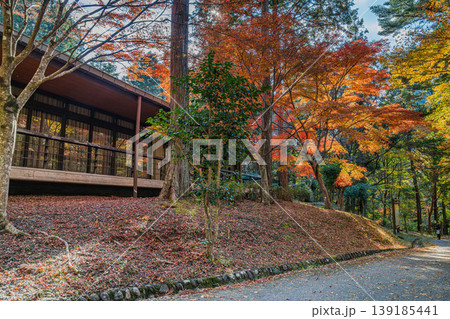 新城市の愛知県民の森の風景(愛知県) 139185441