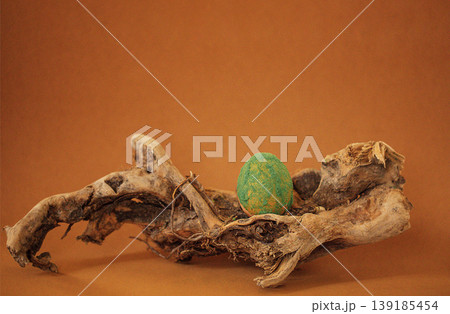 Decorative green egg placed on a textured wooden branch against a warm brown backdrop, showcasing a unique design and natural elements Decorative green egg placed on a textured wooden branch against a warm brown backdrop, showcasing a unique design and natural elements 139185454