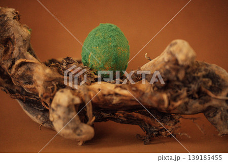 Green textured egg placed on a twisted piece of driftwood against a brown background, showcasing natural elements and organic shapes in a minimalist composition 139185455