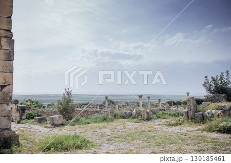 Ancient ruins with stone columns and overgrown vegetation under a cloudy sky, overlooking a vast landscape in the distance 139185461