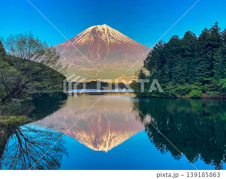 木枠に縁取られた富士山と鏡面世界・新緑の季節 木枠に縁取られた富士山と鏡面世界・新緑の季節 139185863