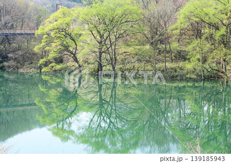 新緑に染まる水鏡美しい和賀川 水没林 岩手県 新緑に染まる水鏡美しい和賀川 水没林 岩手県 139185943