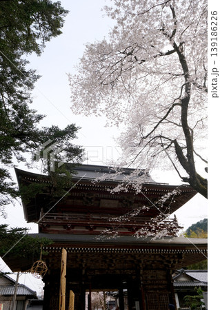岐阜県揖斐郡揖斐川町_谷汲山華厳寺3_2025年4月 岐阜県揖斐郡揖斐川町_谷汲山華厳寺3_2025年4月 139186226