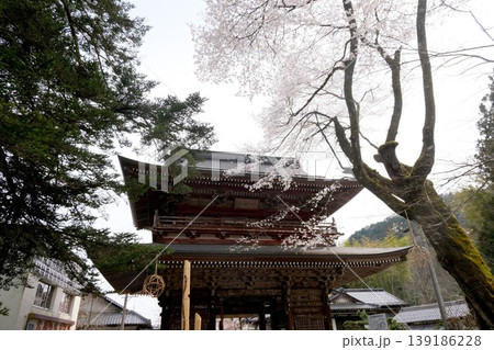 岐阜県揖斐郡揖斐川町_谷汲山華厳寺4_2025年4月 岐阜県揖斐郡揖斐川町_谷汲山華厳寺4_2025年4月 139186228