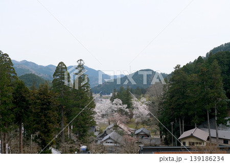 岐阜県揖斐郡揖斐川町_谷汲山華厳寺からの景色1_2025年4月 岐阜県揖斐郡揖斐川町_谷汲山華厳寺からの景色1_2025年4月 139186234