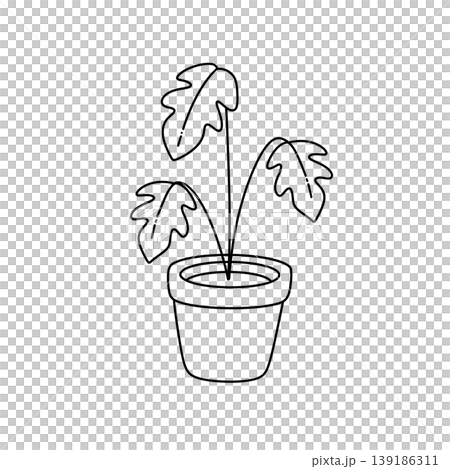 Simple line drawing of potted plant with broad leaves Simple line drawing of potted plant with broad leaves 139186311