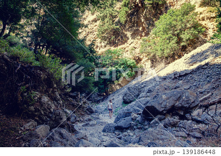 Hiking through a scenic rocky trail in a peaceful forested canyon Hiking through a scenic rocky trail in a peaceful forested canyon 139186448