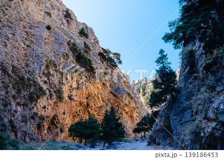 Majestic canyon landscape with towering cliffs and lush greenery 139186453