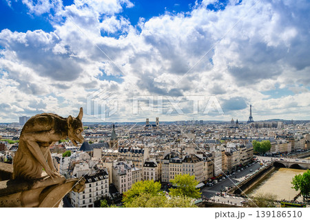 Gargoyle on Notre Dame Cathedral, Paris, France Gargoyle on Notre Dame Cathedral, Paris, France 139186510