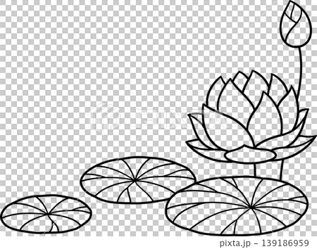 Lotus flower line drawing Lotus flower line drawing 139186959