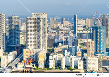 東京湾岸エリア・タワーマンション群 139187950