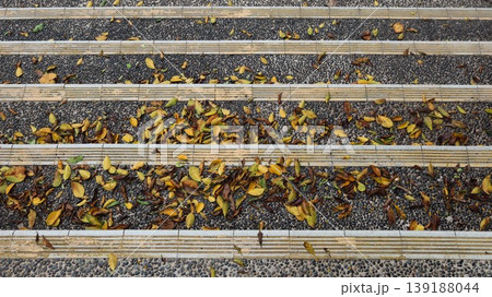 Concrete outdoor steps with textured pebble surface, scattered yellow and brown autumn leaves, and light-colored edge strips and copy space 139188044