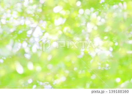 新緑　玉ボケ　背景 139188160