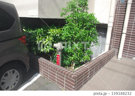 建物の植え込みに設置された連結送水管の採水口と周囲の植栽 建物の植え込みに設置された連結送水管の採水口と周囲の植栽 139188232
