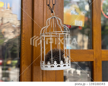 Toy hedgehog sitting inside decorative metal cage hanging on wooden door. Animal curiosity, unusual display, protection and human interaction concept. 139188343