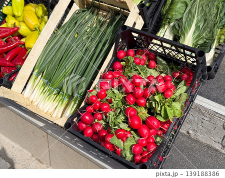 Fresh radishes, scallions, peppers and leafy greens displayed in crates outside a shop. Vegetable retail, seasonal produce, grocery shopping and local food market freshness. Fresh radishes, scallions, peppers and leafy greens displayed in crates outside a shop. Vegetable retail, seasonal produce, grocery shopping and local food market freshness. 139188386