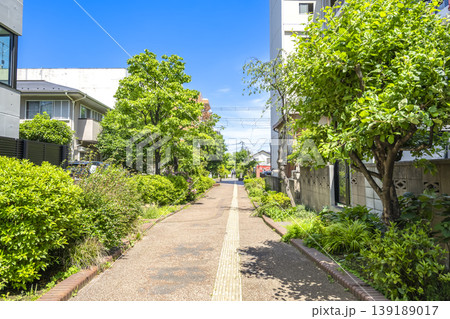 東京都世田谷区の街並み 北沢川緑道と梅ヶ丘 東京都世田谷区の街並み 北沢川緑道と梅ヶ丘 139189017