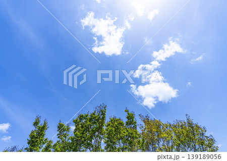 春の青空と雲と新緑 139189056