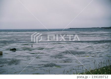 [稚内市内]日本最北端の宗谷岬の風景 139189712