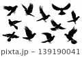 Flying Bird Silhouettes in Various Wing Positions 139190041