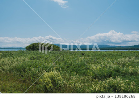 [北海道]大自然が広がる北海道のキャンプ場の風景 139190269