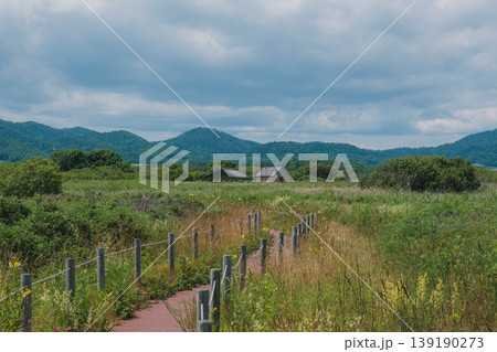 [北海道]大自然が広がる北海道のキャンプ場の風景 139190273