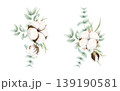 Hand drawn soft elegant cotton and green eucalyptus bouquets. Watercolor botanical illustration isolated on white background. Drawing for floral greeting cards, invitation, wedding design, arrangement 139190581