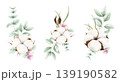 Hand drawn soft elegant cotton, eucalyptus and pink snowberries bouquets. Watercolor botanical illustration isolated on white background. Drawing for floral greeting cards, invitation, wedding designs 139190582