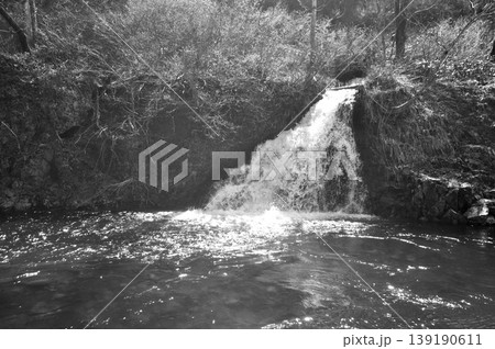 新潟県 魚野川 鱒どまり 新潟県 魚野川 鱒どまり 139190611