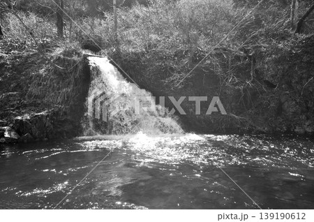 新潟県 魚野川 鱒どまり 新潟県 魚野川 鱒どまり 139190612